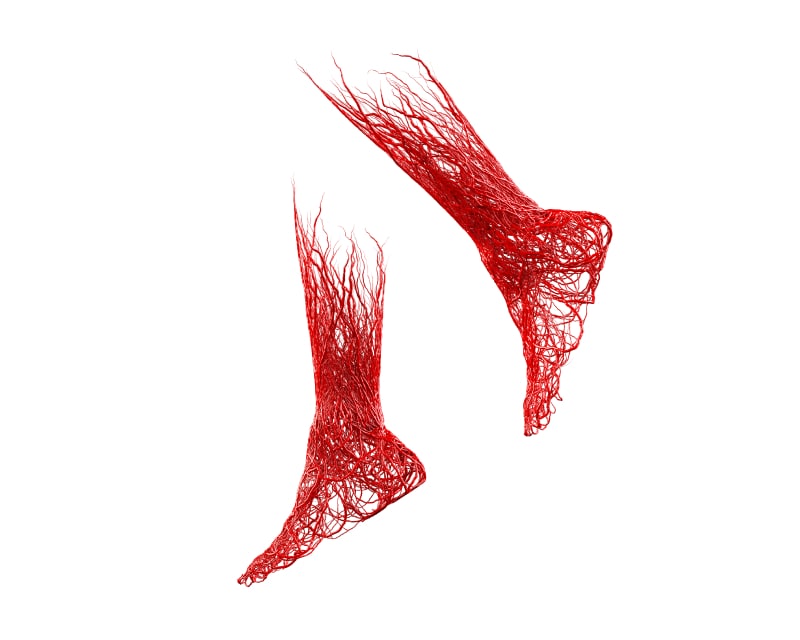 3D rendering of foot and leg with veins used for Gel4Med press release.